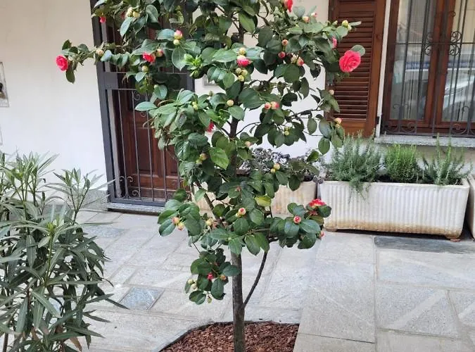 Vakantiehuis Ca' Letizia Stresa